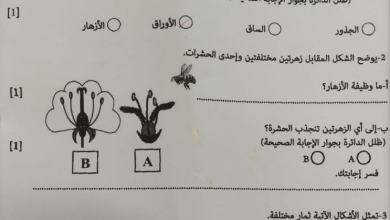 اختبار-علوم-صف-سابع-الفصل-الاول