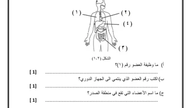 اختبار-علوم-صف-سادس-الفصل-الاول-2