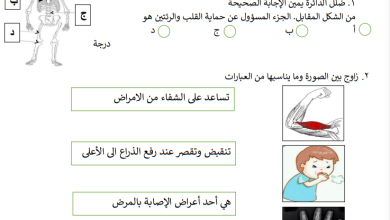 اختبار-مادة-العلوم-للصف-رابع-الفصل-الأول-الوحدة-الاولى-علوم-الانسان-والحيوان-منى-السعيدي