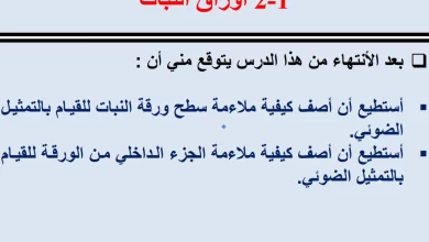 ملخص-درس-أوراق-النبات-مادة-العلوم-الصف-الثامن