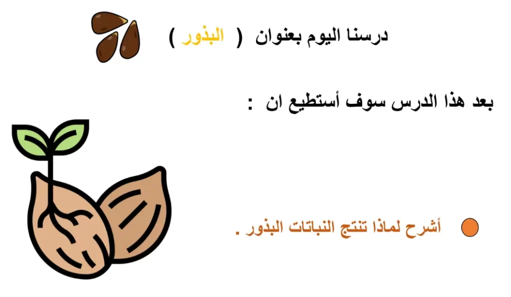 ملخص-درس-البذور-الصف-الأول-علوم-الفصل-الأول