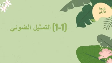 ملخص-درس-التمثيل-الضوئي-مادة-العلوم-الصف-الثامن