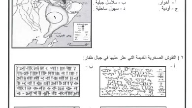 نماذج-اختبارات-هذا-وطني-الصف-الحادي-عشر-الفصل-الأول