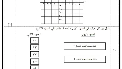 نموذج-امتحان-الرياضيات-للصف-السادس-الفصل-الأول
