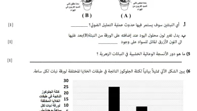 نموذج-امتحان-العلوم-للصف-الثامن-الفصل-الأول