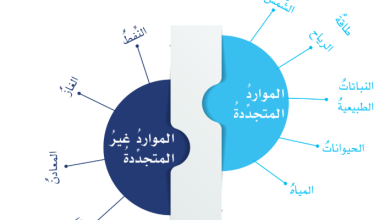 المواد-الطبيعية-الأنواع-والأهمية