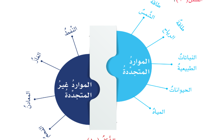 المواد-الطبيعية-الأنواع-والأهمية