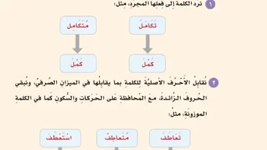 الميزان-الصرفي-وزن-المزيد