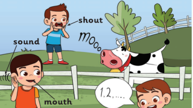الوحدة-3-ou-oi-ue-i_e-كتاب-الإنجليزية-sounds-and-spelling-book-الصف-2-الفصل-1