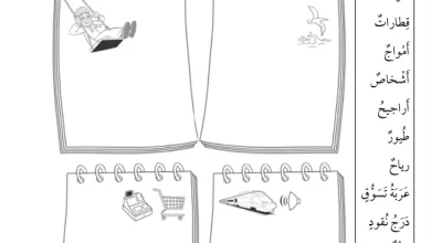 حل-أسئلة-أوراق-العمل-كتاب-العلوم-النشاط-للصف-الثالث-الفصل-الثاني