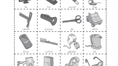 حل-أوراق-العمل-كتاب-العلوم-للصف-الثاني-الفصل-الثاني (1)