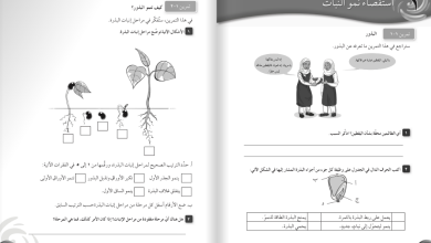حل-استقصاء-نمو-النبات-للصف-الخامس-كتاب-النشاط