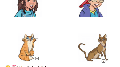 حل-درس-Family-and-friends-كتاب-الإنجليزية-ACTIVITY-BOOK-الصف-الأول-الفصل-الأول