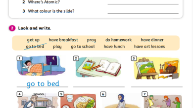 درس-Its-a-happy-day-كتاب-الإنجليزية-activity-book-الصف-الثاني-الفصل-الأول