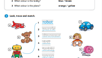 درس-LOOK-AT-MY-TOYS-كتاب-الإنجليزية-activity-book-الصف-الثاني-الفصل-الأول (1)