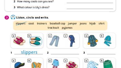 درس-Lets-dress-up-كتاب-الإنجليزية-activity-book-الصف-الثالث-الفصل-الأول