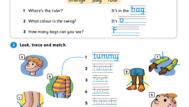 درس-Move-your-body-كتاب-الإنجليزية-activity-book-الصف-الثاني-الفصل-الأول