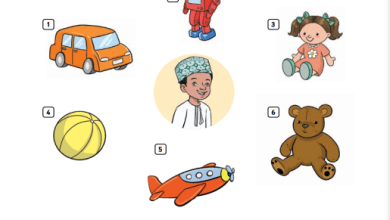 درس-My-favourite-toy-كتاب-الإنجليزية-ACTIVITY-BOOK-الصف-الأول-الفصل-الأول
