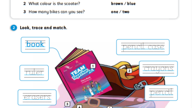 درس-Wheres-my-pen-كتاب-الإنجليزية-activity-book-الصف-الثاني-الفصل-الأول