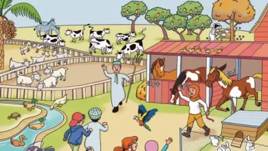 درس-fun-in-the-farm-للصف-الثالث-الفصل-الثاني
