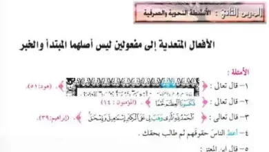 درس-الأفعال-المتعدية-للصف-التاسع