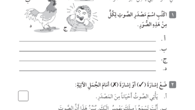 درس-الصوت-للصف-الرابع-علوم-الفصل-الثاني