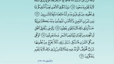 درس-النص-القرآني-قدرة-الله-تعالى-للصف-الخامس-الفصل-الثاني (2)