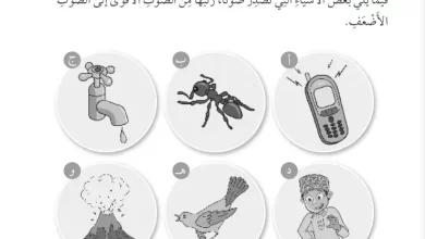 درس-حواسنا-الخمس-للصف-الثالث-الفصل-الثاني