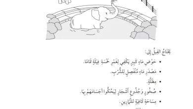 درس-محمية-الفيلة-رياضيات-للصف-الثالث-الفصل-الثاني
