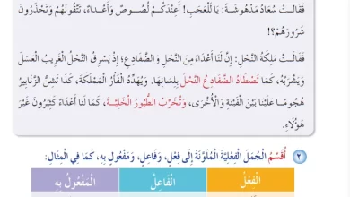 درس-مكونات-الجملة-الفعلية-فعل-فاعل-مفعول-به-للصف-الرابع-الفصل-الثاني