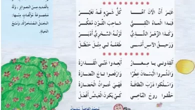 درس-نداء-الفراشة-للصف-الثالث-الفصل-الثاني