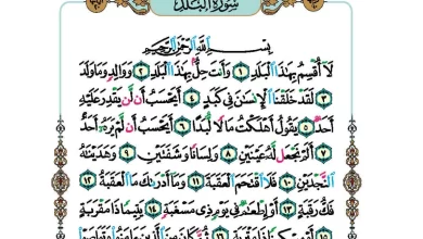 سورة-البلد