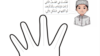 شرح-درس-أركان-الإيمان-كتاب-ديني-حياتي-الصف-الثالث-الفصل-الأول