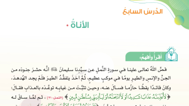 شرح-درس-الأناة-قيم-وأخلاق-للصف-الثامن