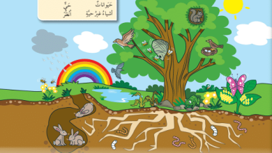 شرح-درس-الكائنات-الحية-كتاب-العلوم-الصف-الأول-الفصل-الدراسي-الأول