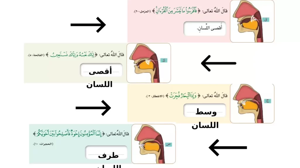 مخارج-الحروف-للصف-السادس-13