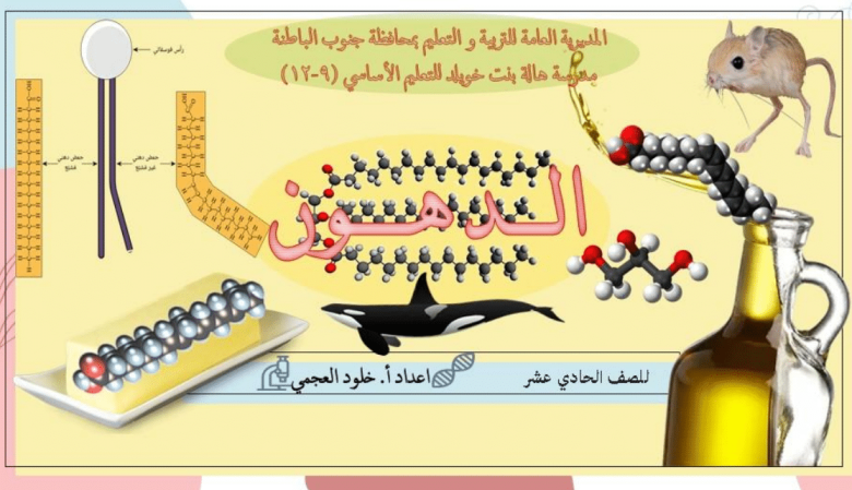 ملخص-درس-الدهون-للصف-الحادي-عشر