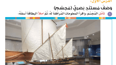 وصف-مستند-بصري-مجسم-للصف-السابع